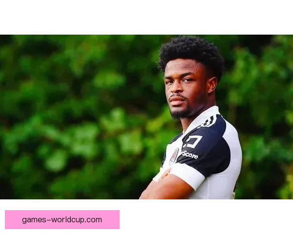 干扰还是机会西汉姆签运尚可算 干扰还是机会西汉姆签运尚可算